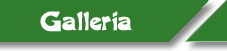 GALLERIA